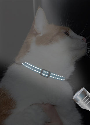 Personalized Cat Collar Free Shipping | Cat Collar Personalized Kitten
