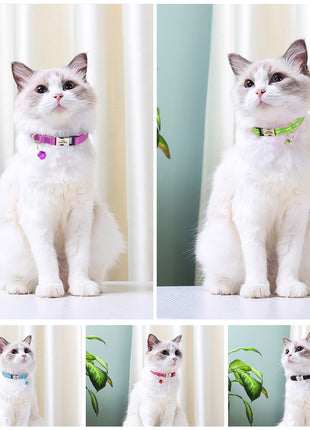 Personalized Cat Collar Free Shipping | Cat Collar Personalized Kitten