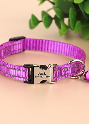 Personalized Cat Collar Free Shipping | Cat Collar Personalized Kitten