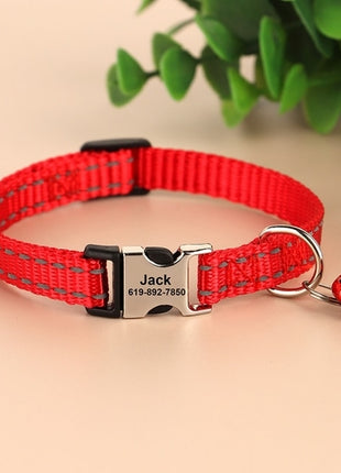 Personalized Cat Collar Free Shipping | Cat Collar Personalized Kitten