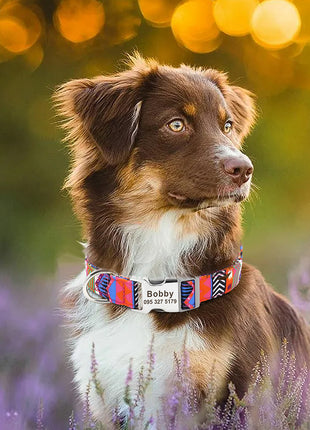 Custom Large Dog Collar Cute Print Personalized Pet Collar Nylon Puppy