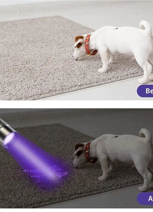 UV Flashlight 395nm Ultraviolet Torch With Pen Clip Portable AAA