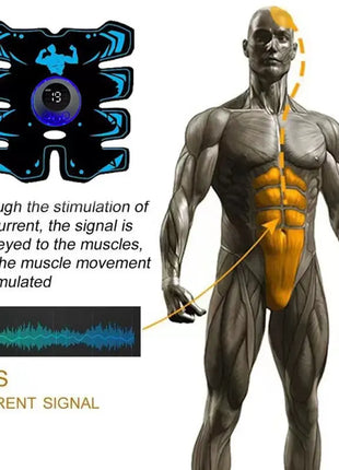 USB Rechargable EMS Muscle Stimulator ABS Arm 3 IN 1 Trainer Pad