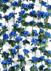 DEEP BLUE