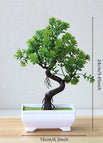 PJ29-01 / with pot / CHINA