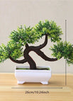 PJ33-03 / with pot / CHINA
