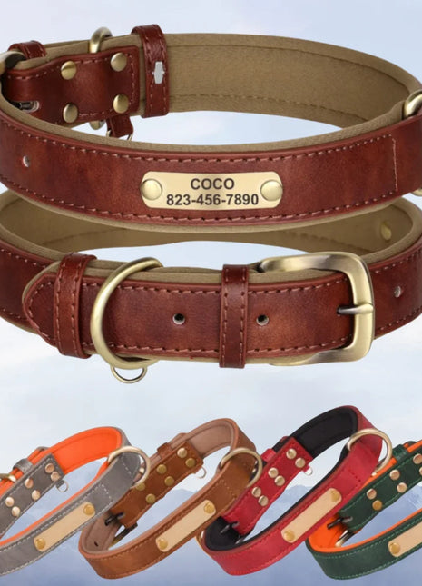 Customized Leather Dog Collar Leash Soft Padded Leather Collar For