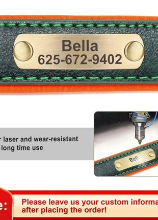 Customized Leather Dog Collar Leash Soft Padded Leather Collar For