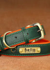 XS / Green Collar