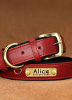 XS / Red Collar