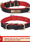 S / Black Collar