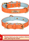 XL / Orange Collar