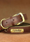 M / Brown Collar