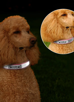 Reflective Pet Dog Custom Collar Adjustable Free Engraved Small Medium