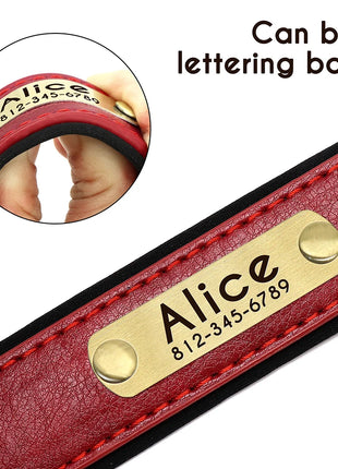 Customized Leather Dog Collar Leash Set Soft Padded Leather Collar For