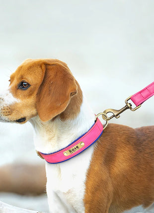 Customized Leather Dog Collar Leash Set Soft Padded Leather Collar For