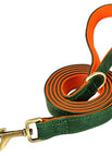XS / Green Leash