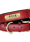 XS / Red Collar