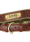 XS / Brown Collar