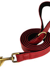 XS / Red Leash