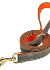 XS / Gray Leash