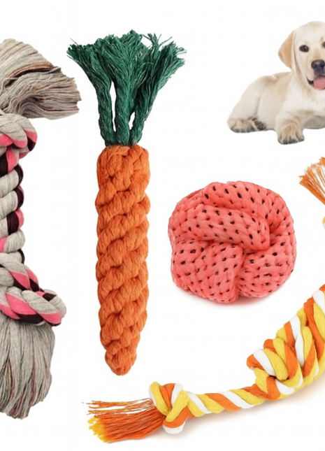 Dog Rope Toy Assortment with Puppy