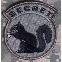 BuckUp Tactical Morale Patch Hook Secret Squirrel ACU Black Patches 3".