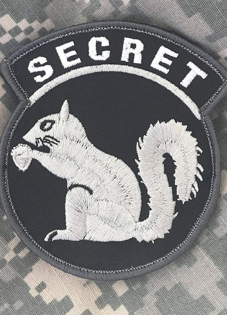 BuckUp Tactical Morale Patch Hook Secret Squirrel Black White PATCHES Patches 3".