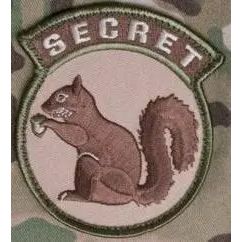 BuckUp Tactical Morale Patch Hook Secret Squirrel Multitan Patches 3".