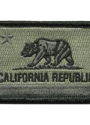 BuckUp Tactical Morale Patch Hook California Sacramento State Patches 3x2".