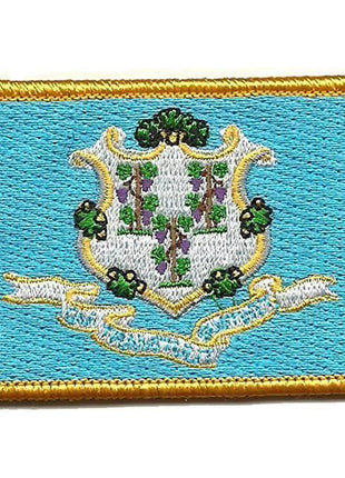 BuckUp Tactical Morale Patch Hook Connecticut Hartford State Patches 3x2".