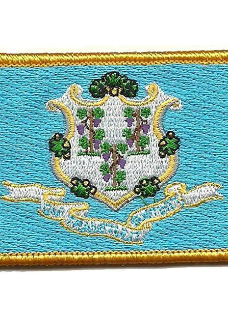 BuckUp Tactical Morale Patch Hook Connecticut Hartford State Patches 3x2".