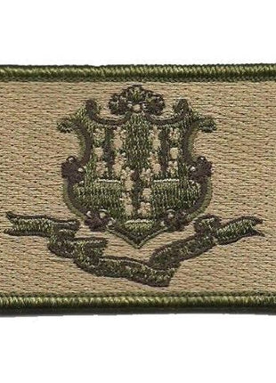 BuckUp Tactical Morale Patch Hook Connecticut Hartford State Patches 3x2".