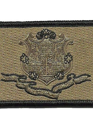 BuckUp Tactical Morale Patch Hook Connecticut Hartford State Patches 3x2".