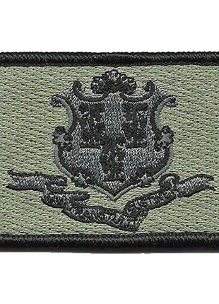 BuckUp Tactical Morale Patch Hook Connecticut Hartford State Patches 3x2".