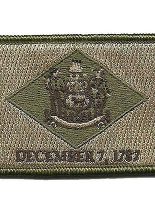 BuckUp Tactical Morale Patch Hook Delaware Dover State Patches 3x2".