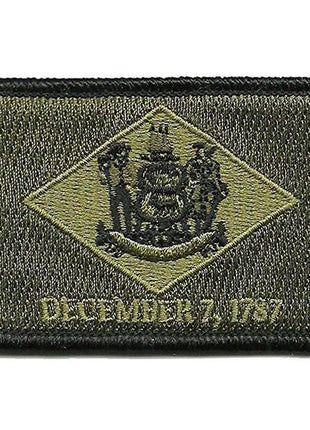 BuckUp Tactical Morale Patch Hook Delaware Dover State Patches 3x2".