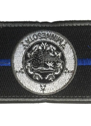 BuckUp Tactical Morale Patch Hook Minnesota St. Paul State Patches 3x2".