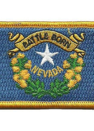 BuckUp Tactical Morale Patch Hook Nevada Carson City State Patches 3x2".