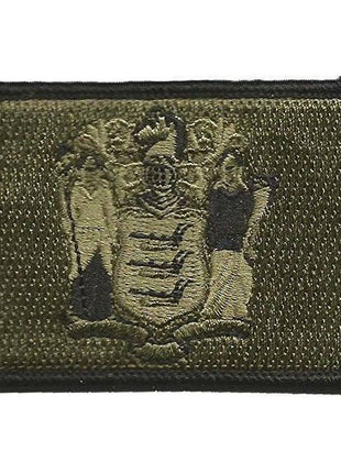 BuckUp Tactical Morale Patch Hook New Jersey Trenton State Patches 3x2".