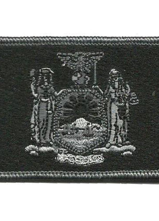 BuckUp Tactical Morale Patch Hook New York Albany State Patches 3x2".