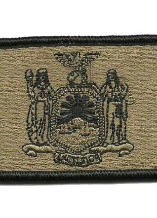 BuckUp Tactical Morale Patch Hook New York Albany State Patches 3x2".