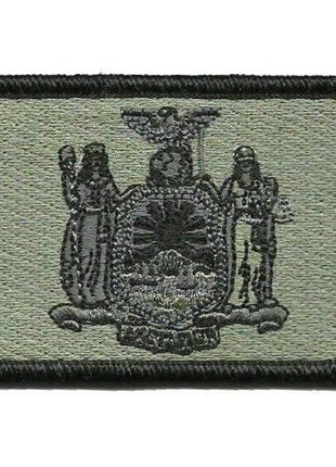 BuckUp Tactical Morale Patch Hook New York Albany State Patches 3x2".