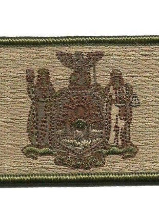 BuckUp Tactical Morale Patch Hook New York Albany State Patches 3x2".