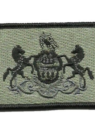 BuckUp Tactical Morale Patch Hook Pennsylvania Harrisburg State Patches 3x2".