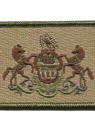 BuckUp Tactical Morale Patch Hook Pennsylvania Harrisburg State Patches 3x2".