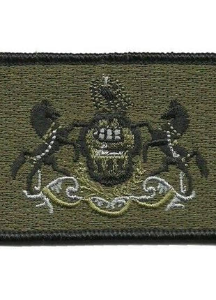 BuckUp Tactical Morale Patch Hook Pennsylvania Harrisburg State Patches 3x2".