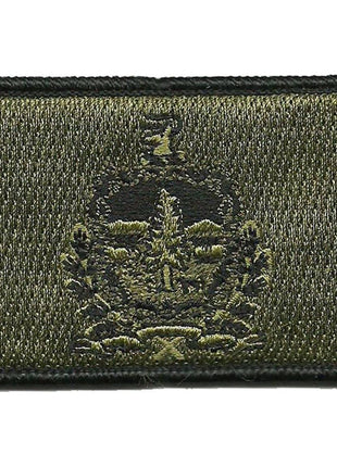 BuckUp Tactical Morale Patch Hook Vermont Montpielier State Patches 3x2".