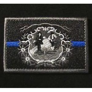 BuckUp Tactical Morale Patch Hook West Virginia Charleston State Patches 3x2".