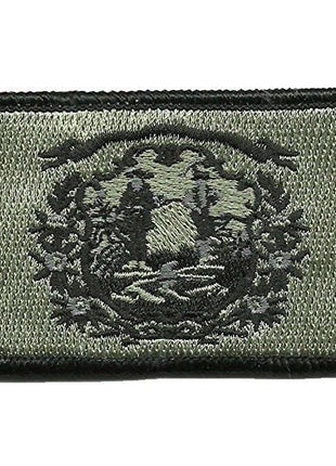 BuckUp Tactical Morale Patch Hook West Virginia Charleston State Patches 3x2".